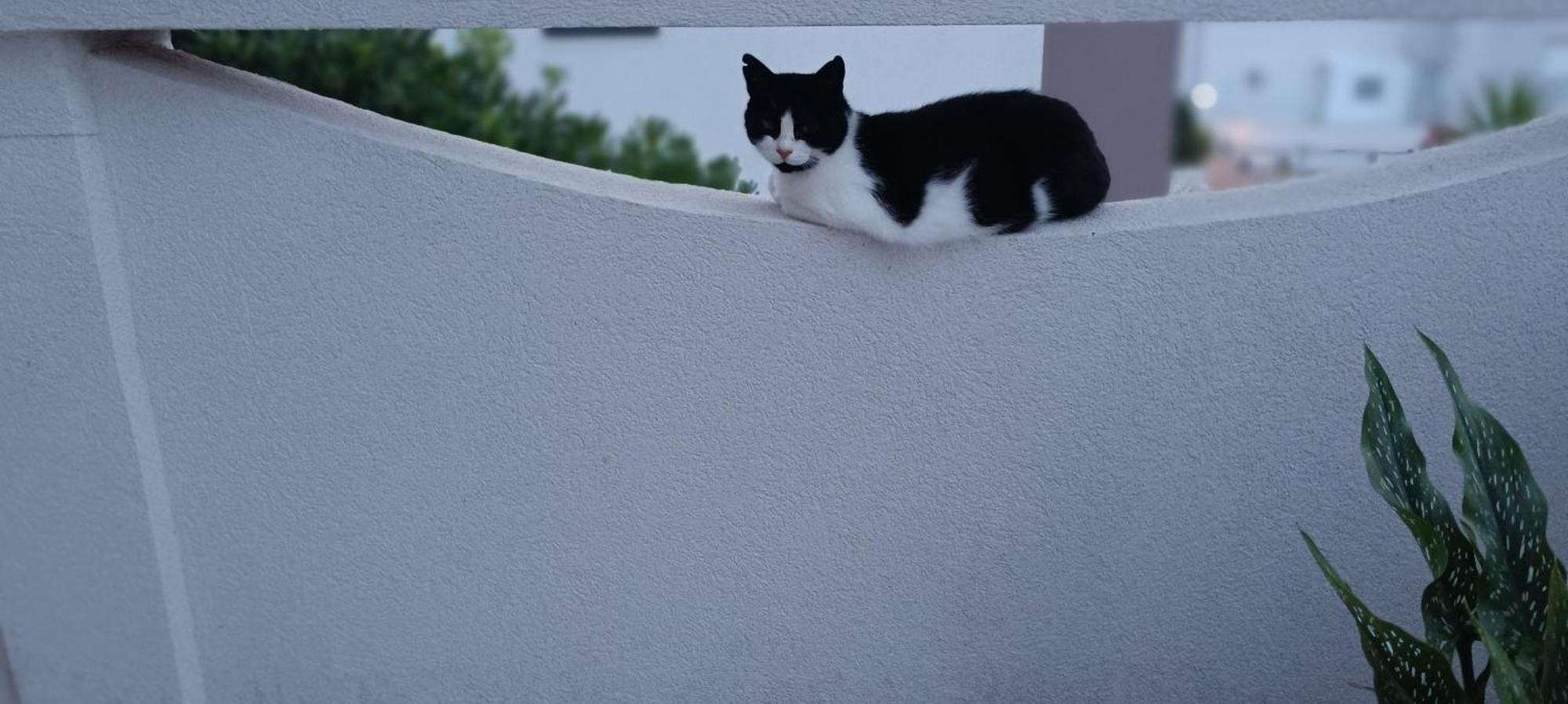 Apartmani Kunteja Pag Town Kültér fotó
